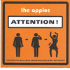 Apples in Stereo Attention