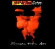 At The Gates Suicidal Final Art