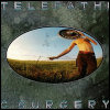 The Flaming Lips Telepathic Surgery