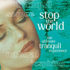 Terry Oldfield Stop the World - The Ultimate Tranquil Experience