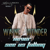 Wayne Wonder Never See Us Falling - Single