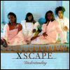 Xscape Understanding