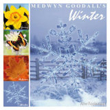 Medwyn Goodall Winter