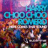 Harry "choo choo" Romero Here Comes That Sound - Single