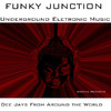 Splashfunk Vs. Funky Junction Funky Junction - Dee Jays From Around The World