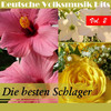 Nina Deutsche Volksmusik Hits: Die besten Schlager, Vol. 2