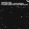 Carsten Jost You Don`T Need a Weatherman To Know Which Way the Wind Blows