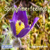 Otto Sieben Springtime-Feelings