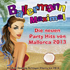 Tim Toupet Ballermann Maximal - Die neuen Party Hits von Mallorca 2013 - Die Kult Opening Schlager Charts bis 2014