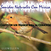 Llewellyn Canto de los PГЎjaros para la CuraciГіn: Sonidos Naturales Con MГєsica