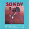 Sukay Cumbre (The Summit)