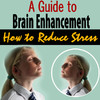 Healthy Living Institute A Guide to Brain Enhancement - How to Reduce Stress