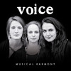 Voice Musical Harmony