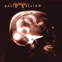 David Sylvian Godman (Single)