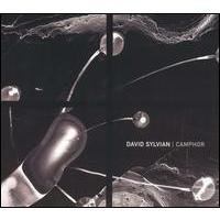 David Sylvian Camphor [CD 1]
