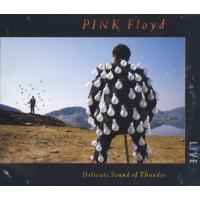 Pink Floyd The Delicate Sound Of Thunder [CD 1]