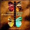 David Arkenstone Convergence