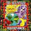 Big Mountain Resistance