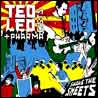 Ted Leo & The Pharmacists Shake The Sheets