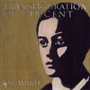 M. Ward Transfiguration Of Vincent