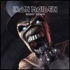 Iron Maiden - Fear Of The Dark Wildest Dreams