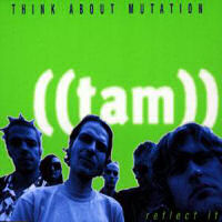 Think About Mutation Reflect It