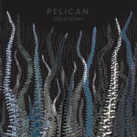 Pelican City Of Echoes