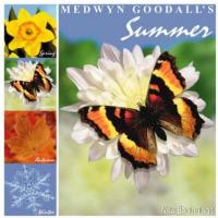 Medwyn Goodall Summer