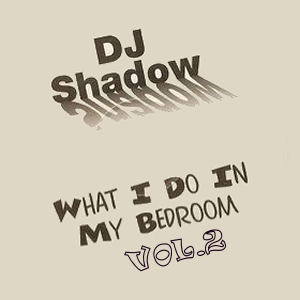 Dj Shadow What I Do In My Bedroom Vol.2