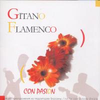 Gipsy Kings Gitano Flamenco