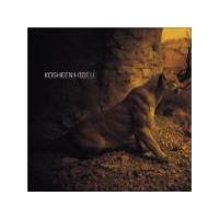 Kosheen Hide U (Single)
