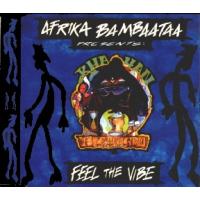 Afrika Bambaataa Feel The Vibe (Single)