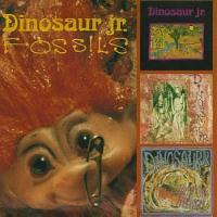 Dinosaur Jr. Fossils