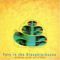 Fury In The Slaughterhouse The Hearing And The Sense Of Balance (2005 Remastered Edition)
