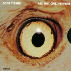 R.h.c.p Scar Tissue