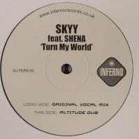 Skyy Turn My World (Promo Vinyl)