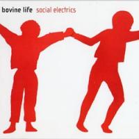 Bovine Life Social Electrics