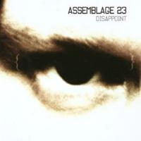 Assemblage 23 Disappoint (Maxi)