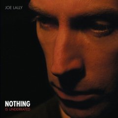 Joe Lally Nothing Is Underrated