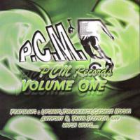 Luciano P.C.M. Records Volume 1