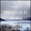 David Gray Life In Slow Motion