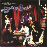 The Triffids The Black Swan