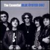 Blue Oyster Cult The Essential