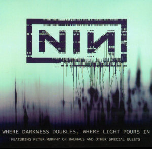 Nine Inch Nails Where Darkness Doubles, Where Light Pours In