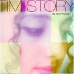 Tim Story The Perfect Flaw