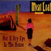 Meat Loaf Not a Dry Eye in the House (Single)