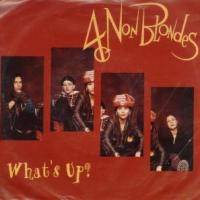4 Non Blondes What`s Up?