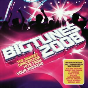 2 Vibez Big Tunes 2008 (CD2)