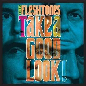 Fleshtones Take A Good Look!