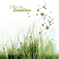 Angel Life Is...Creation